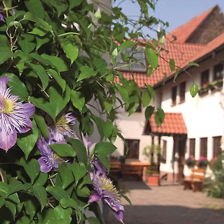 Pension Gaestehaus Kachelofa Vaihingen an der Enz Buitenkant foto